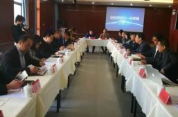 西安市副市长杨广亭一行莅临淘丁财税调研指导工作缩略图