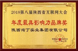 淘丁集团荣获2018第八届陕西省互联网大会两项大奖，载誉而归！缩略图