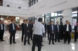 渭南市大荔县副书记兼县长翟玉宝一行带队考察淘丁集团!缩略图