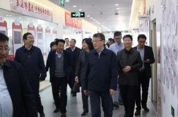 省、市领导齐聚淘丁集团调研参观！缩略图