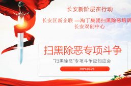 淘丁集团组织召开“扫黑除恶专项斗争”培训会缩略图