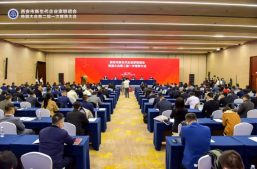 祝贺！苏斌同志连任第二届西安市新生代企业家联谊会副会长缩略图