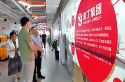 淘丁快讯！襄阳市襄州区委统战部领导莅临淘丁集团调研参观缩略图