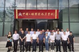 对口帮扶助力乡村振兴 | 淘丁集团负责人参加长安区委统战部赴镇安对口帮扶调研活动缩略图