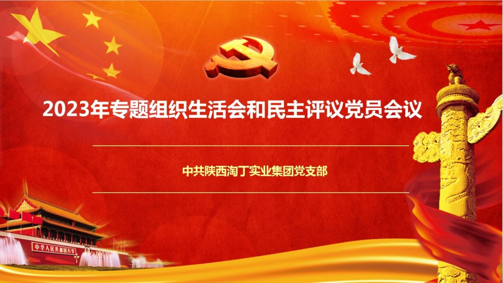 淘丁集团党支部召开2023年专题组织生活会暨民主评议党员会议插图