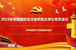 淘丁集团党支部召开2023年专题组织生活会暨民主评议党员会议缩略图