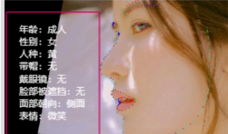 淘丁数据标注科普：图片数据标注的类型及应用场景插图