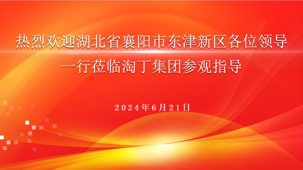淘丁快讯！襄阳市东津新区领导团队莅临淘丁集团，探索合作新机遇插图