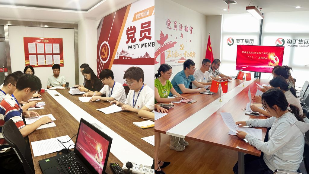 迎七一，守党规！淘丁党支部开展迎七一党日活动插图1