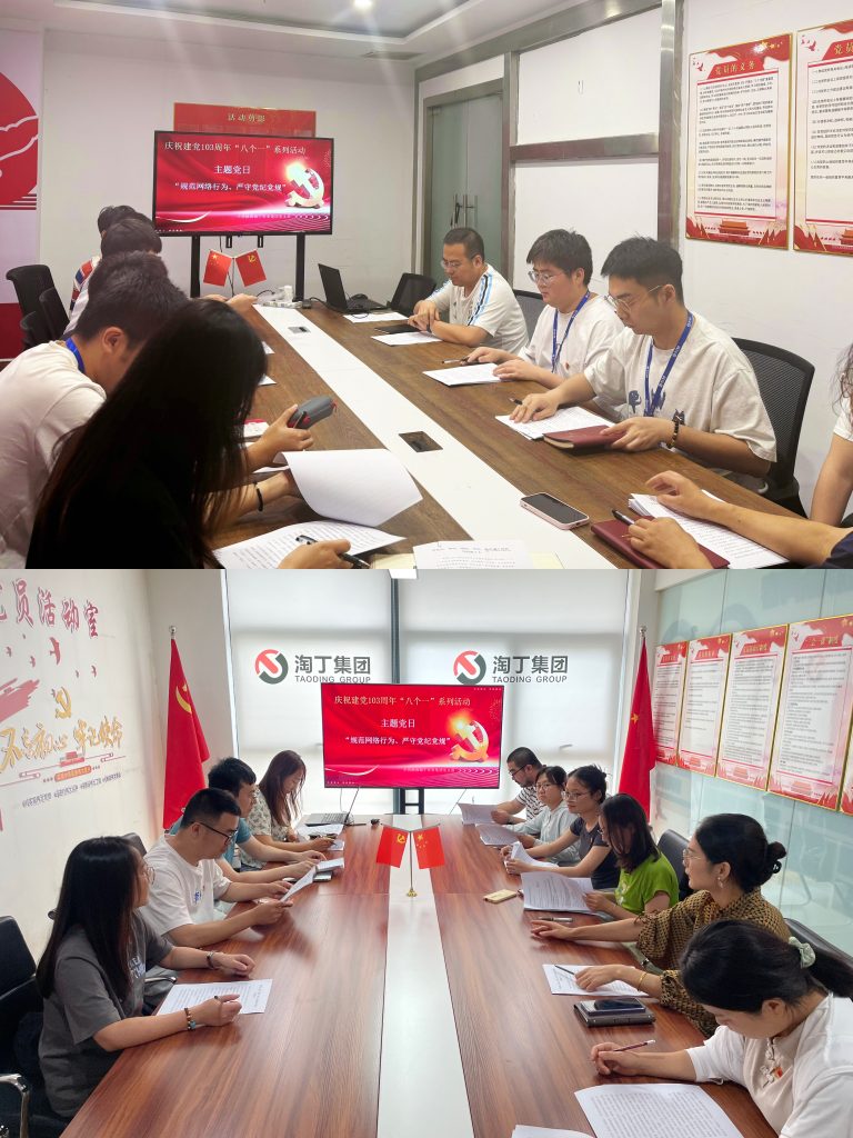 迎七一，守党规！淘丁党支部开展迎七一党日活动插图