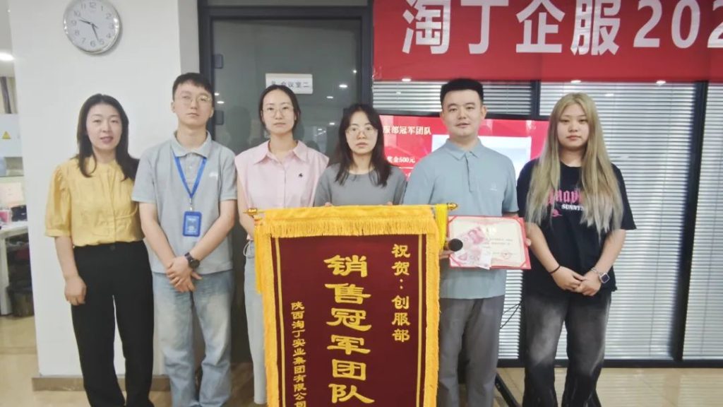 时过中场 奋进不止 | 淘丁企服6月表彰大会圆满结束！插图16