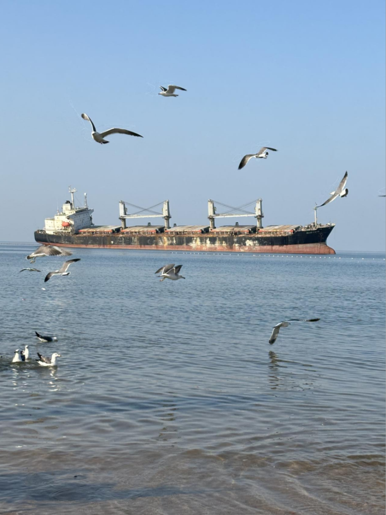 记录美好瞬间！淘丁集团BPO团队摄影大赛圆满结束，这些作品获奖了！插图7