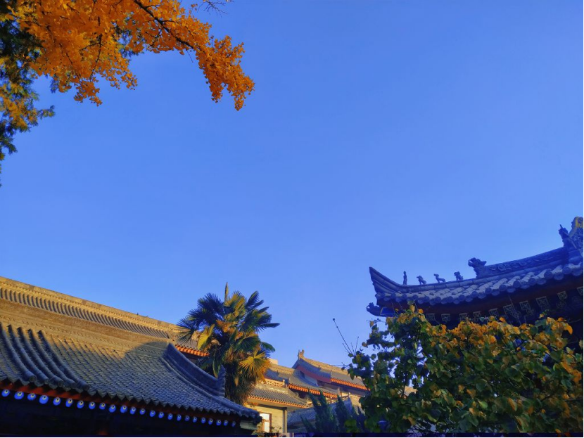 记录美好瞬间！淘丁集团BPO团队摄影大赛圆满结束，这些作品获奖了！插图8