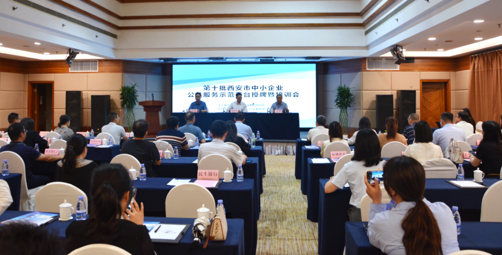 喜讯！实力见证辉煌，淘丁科技荣获“第十批西安市中小企业公共服务示范平台”插图