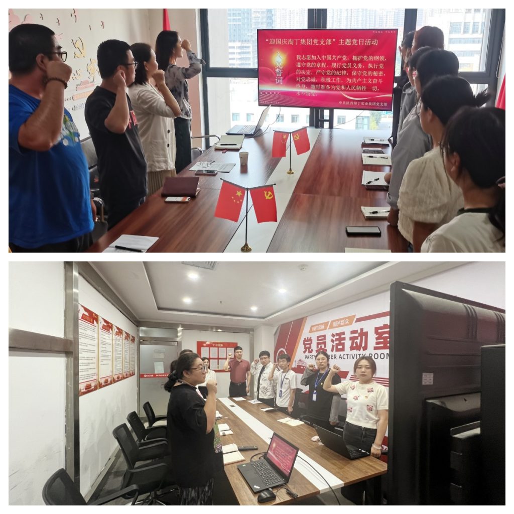 迎国庆，颂党恩！淘丁党支部成功举办迎国庆党日活动插图2