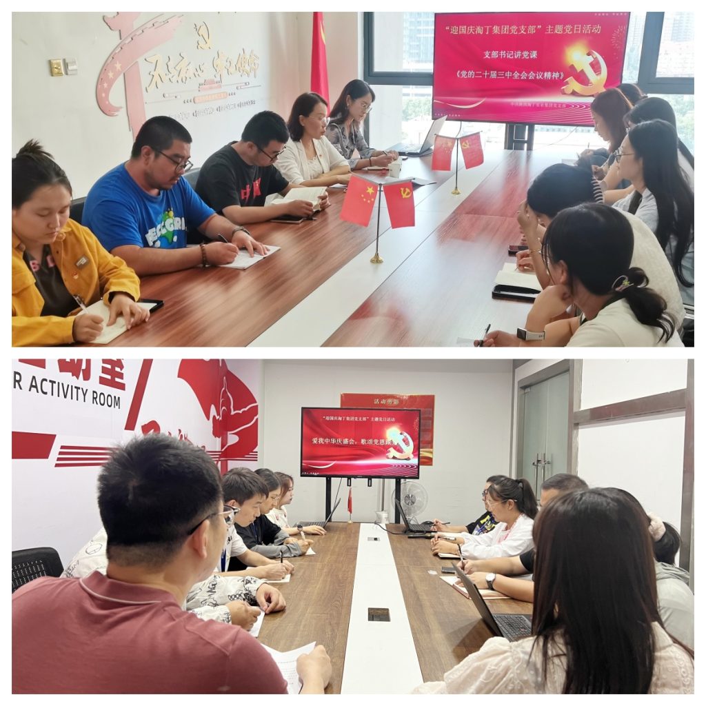 迎国庆，颂党恩！淘丁党支部成功举办迎国庆党日活动插图