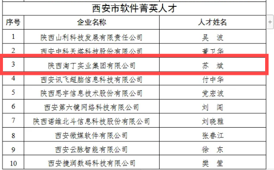 喜讯！淘丁集团CEO苏斌荣获“西安市软件菁英人才“称号插图1