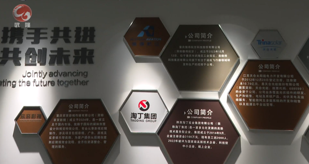 淘丁集团入驻渝中武隆协同发展产业园，助力区域经济发展插图1
