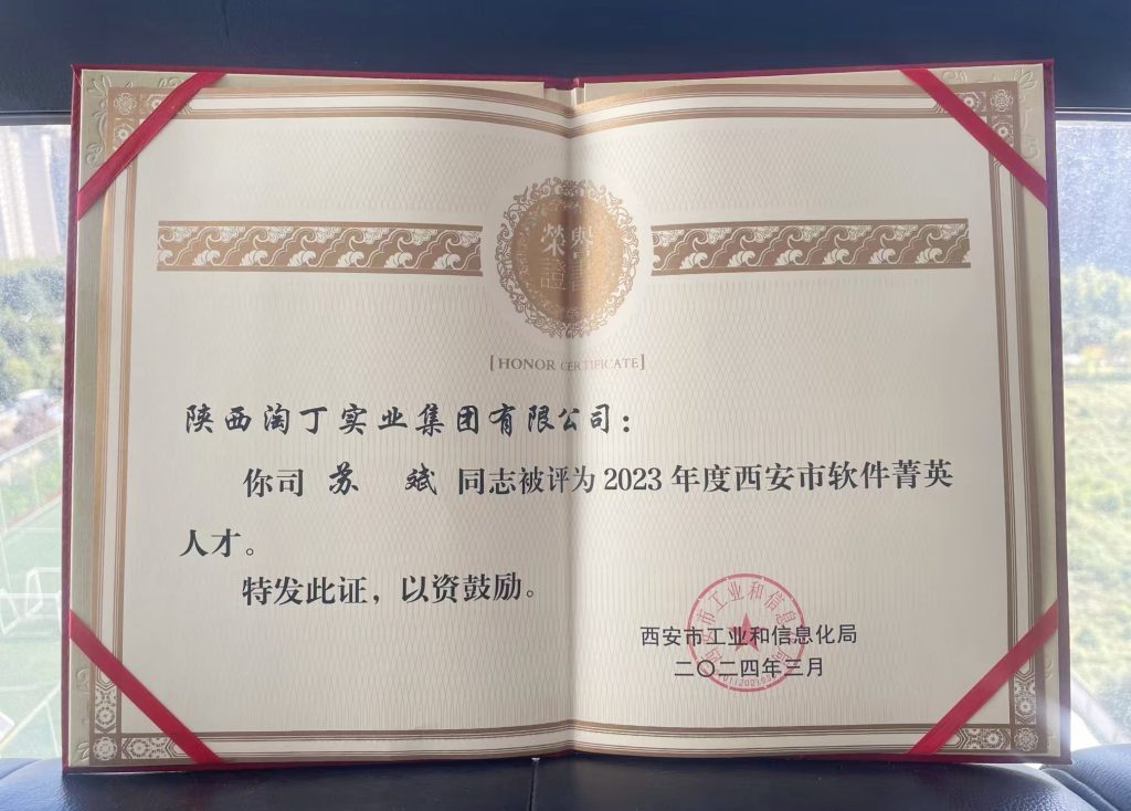喜讯！淘丁集团CEO苏斌荣获“西安市软件菁英人才“称号插图