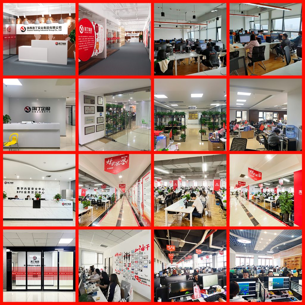 喜讯！淘丁集团CEO苏斌荣获“西安市软件菁英人才“称号插图2