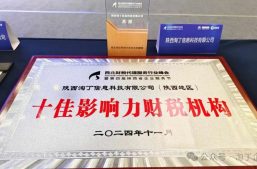 喜讯！淘丁企服荣获“西北地区十佳影响力财税机构”，董事长苏原荣获“行业突出贡献奖”！缩略图