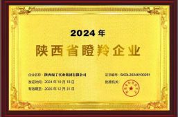 喜讯！淘丁集团荣获“2024年陕西省瞪羚企业”缩略图