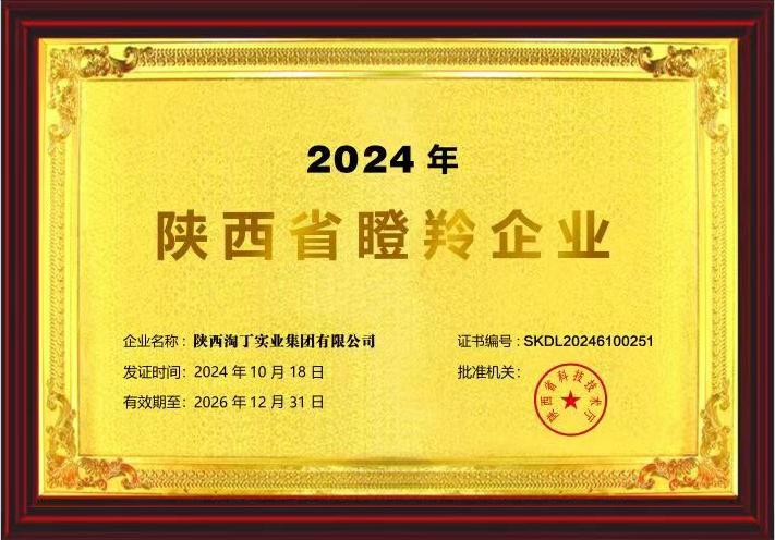喜讯！淘丁集团荣获“2024年陕西省瞪羚企业”插图