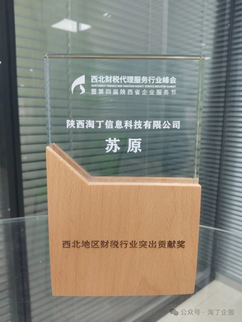 喜讯！淘丁企服荣获“西北地区十佳影响力财税机构”，董事长苏原荣获“行业突出贡献奖”！插图4