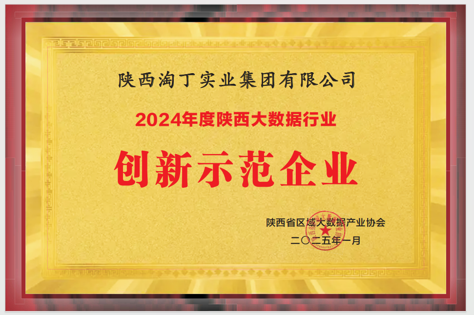 喜讯！淘丁集团荣膺多项殊荣，引领大数据行业创新与发展插图1