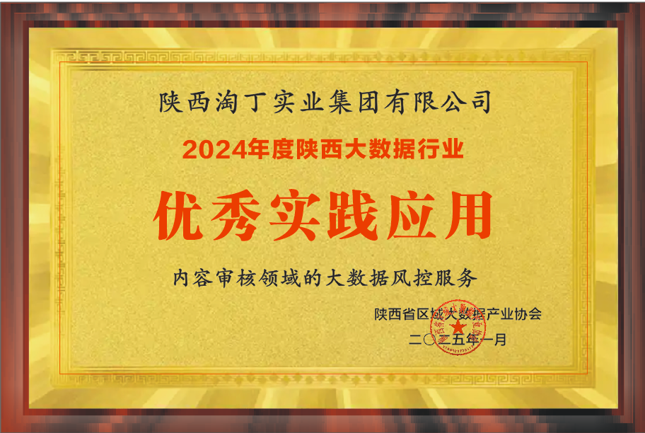 喜讯！淘丁集团荣膺多项殊荣，引领大数据行业创新与发展插图3