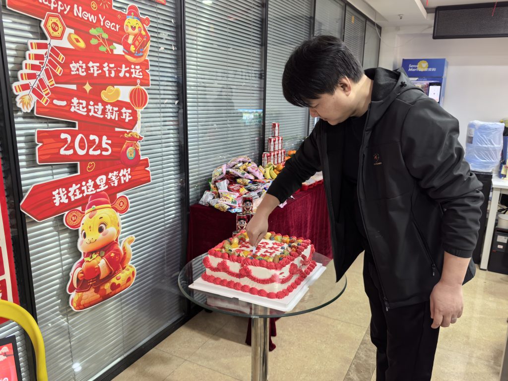 2025开工大吉！瑞蛇启新程，淘丁集团迈向新征程插图5