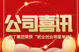 喜讯！淘丁集团荣获“就业创业明星单位”缩略图