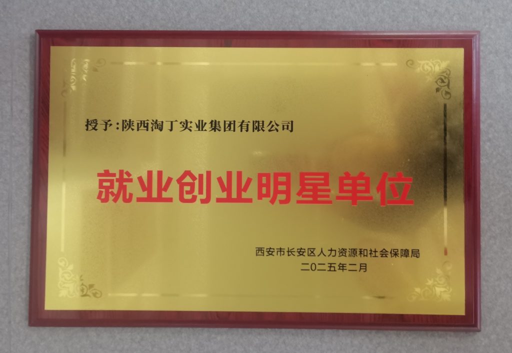喜讯！淘丁集团荣获“就业创业明星单位”插图
