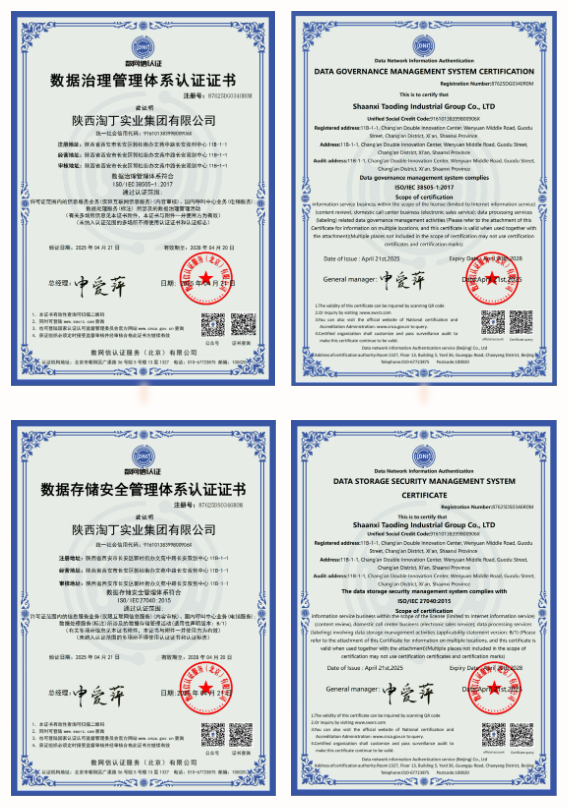淘丁集团顺利通过数据治理管理体系和数据存储安全管理体系认证插图