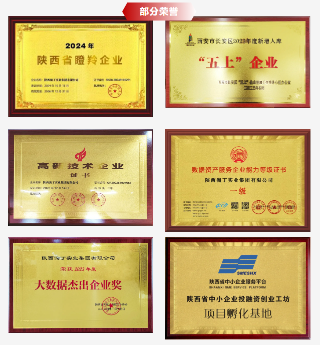 公司简介 | 淘丁集团:承接多种类型内容审核、数据标注、客服外包服务插图5 公司简介 | 淘丁集团:承接多种类型内容审核、数据标注、客服外包服务插图5