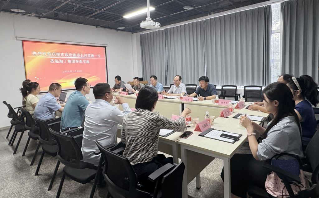 淘丁快讯！庆阳市副市长何英禅一行莅临淘丁集团参观交流插图1