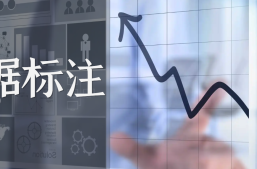 文本数据标注有哪些类型？缩略图