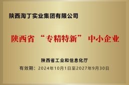 喜讯！淘丁集团荣获“陕西省‘专精特新’中小企业”称号缩略图