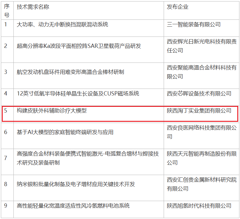 淘丁集团发榜构建皮肤外科大模型，西安科技局正式批了插图1