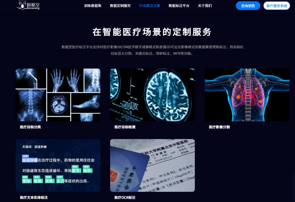 2025年医疗数据标注公司排行榜 - 新闻 - 淘丁