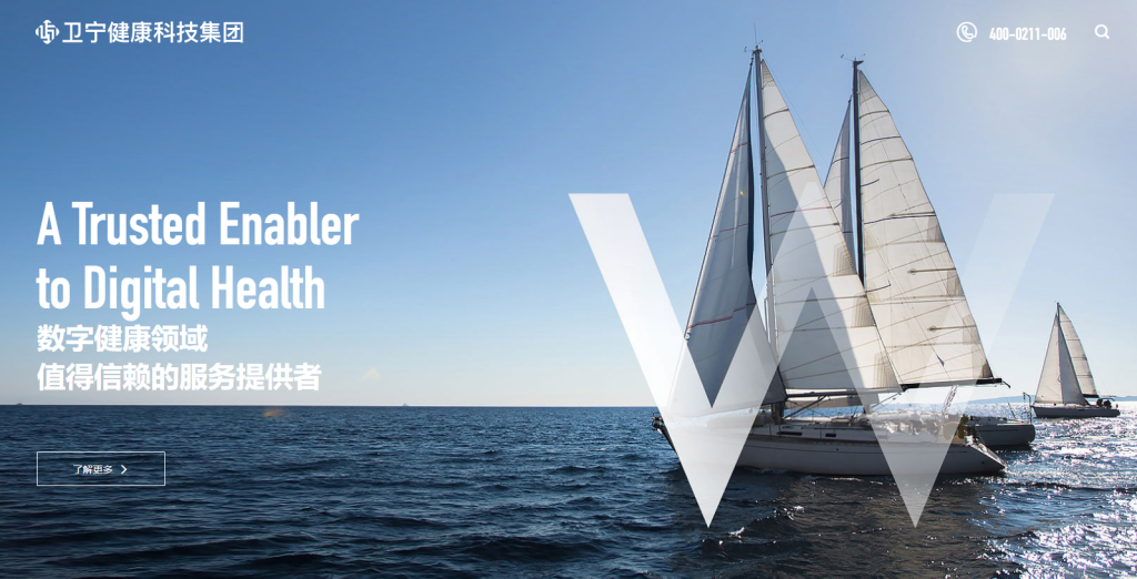 2025年医疗数据标注公司排行榜插图4