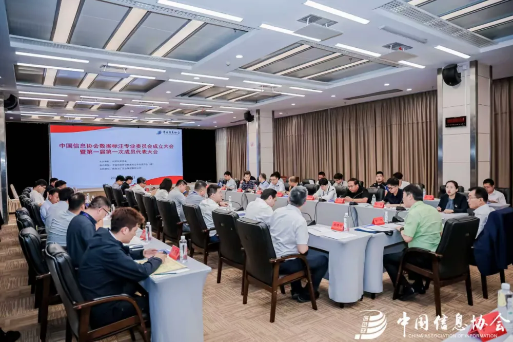 淘丁集团当选中国信息协会数据标注专业委员会副主任单位插图