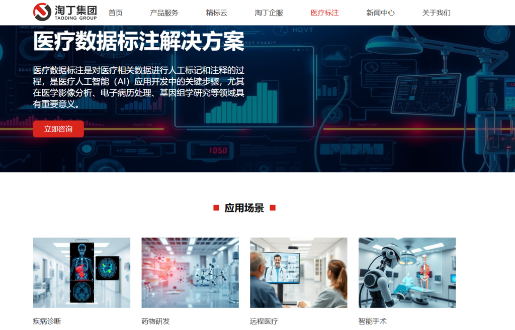 2025年医疗数据标注公司排行榜插图1