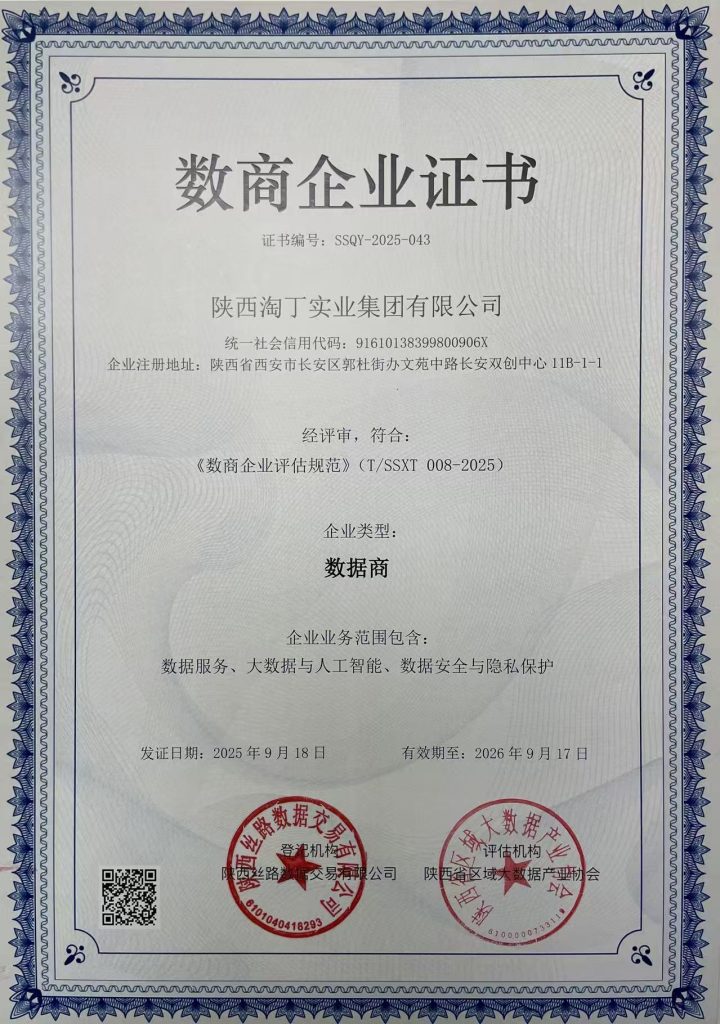 喜讯！淘丁集团荣获首批“数商企业”证书插图