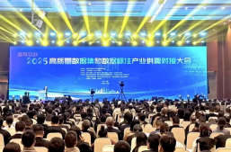 淘丁集团亮相“2025高质量数据集和数据标注产业供需对接大会”，展示医疗数据标注硬实力缩略图