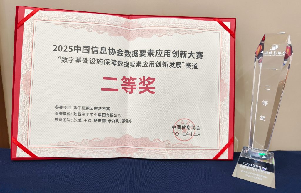 淘丁医数云荣获2025中国信息协会数据要素应用创新大赛二等奖插图