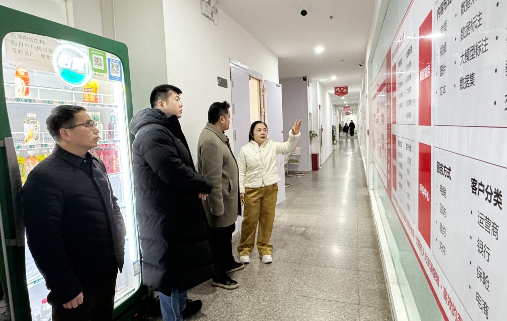 安庆市数据资源管理局副局长丁超一行莅临淘丁参观交流插图