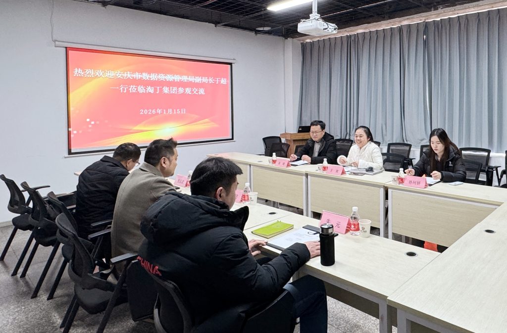 安庆市数据资源管理局副局长丁超一行莅临淘丁参观交流插图1