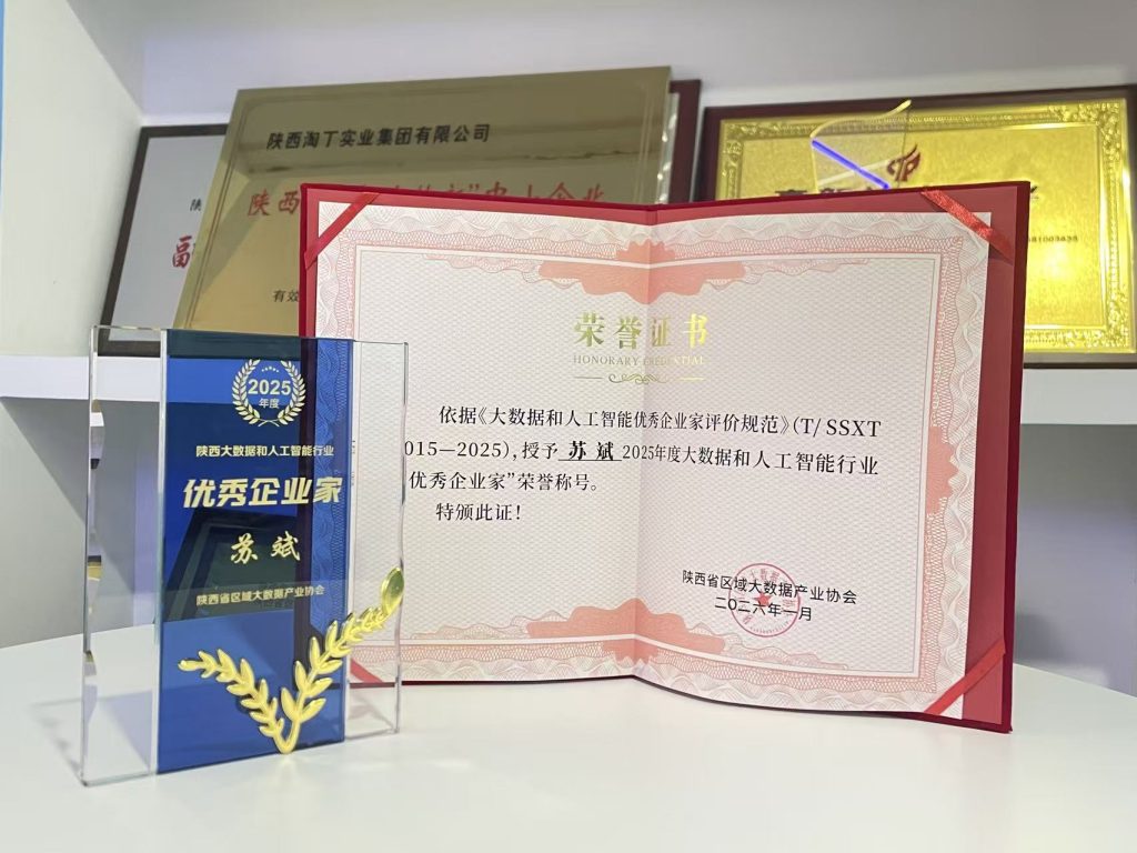 荣膺三项大奖！淘丁在2026陕西省人工智能和大数据产业发展大会荣获多项荣誉插图5