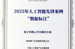 祝贺 | 淘丁数科入选“2025年人工智能先锋案例”缩略图